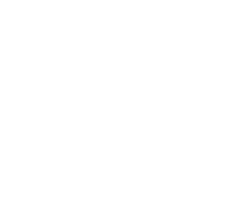 Daus Financial Group LLC